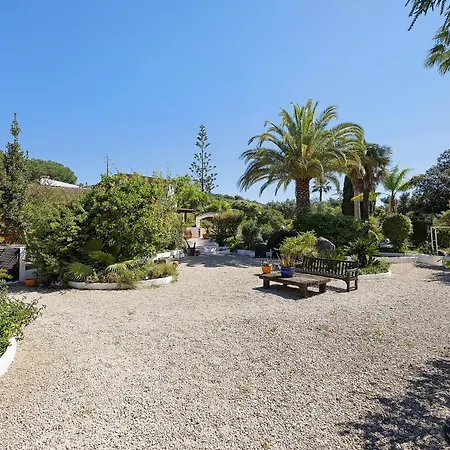 Quinta Achadas - Mimosa Appartement