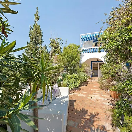 Quinta Achadas - Mimosa