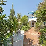 Quinta Achadas - Mimosa